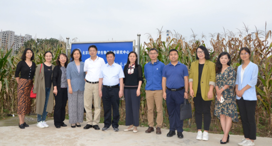 1631869679246946.png image.png