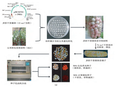 1656918162932797.png image.png