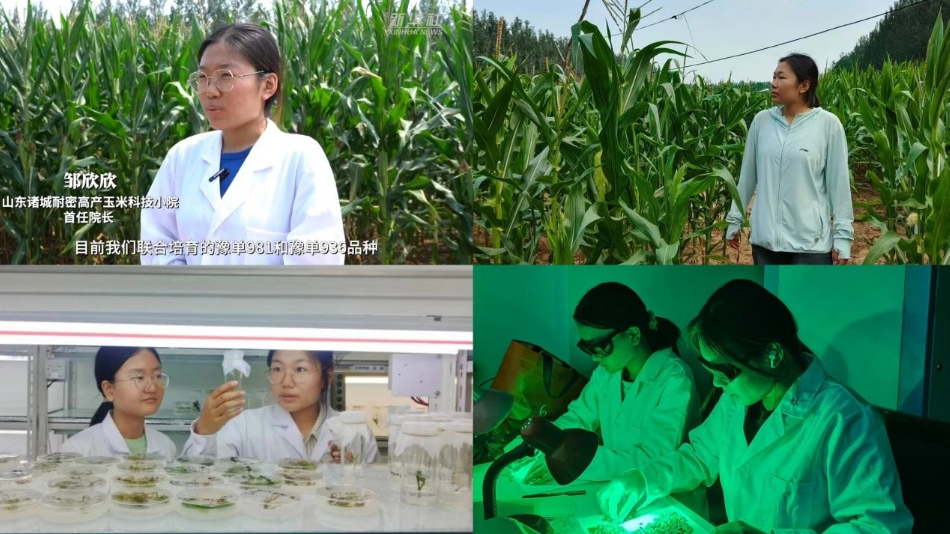 1729567335452778.png image.png