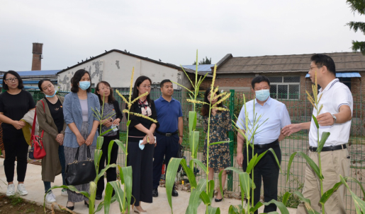 1631869940296228.png image.png